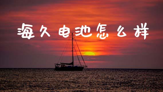 海久电池怎么样_https://m.ycdhulan.com_财经要闻_第1张