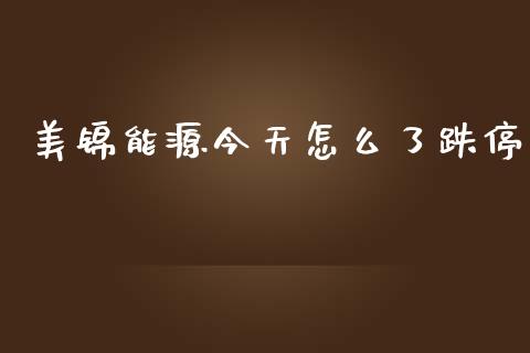美锦能源今天怎么了跌停_https://m.ycdhulan.com_股市在线_第1张