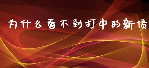 为什么看不到打中的新债_https://m.ycdhulan.com_财经要闻_第1张
