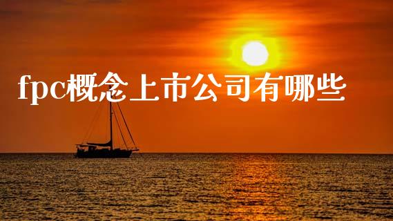 fpc概念上市公司有哪些_https://m.ycdhulan.com_财经要闻_第1张