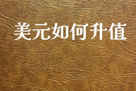 美元如何升值_https://m.ycdhulan.com_期货交易_第1张