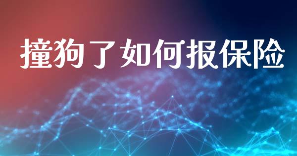 撞狗了如何报保险_https://m.ycdhulan.com_国际金融_第1张