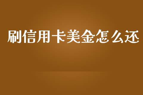 刷信用卡美金怎么还_https://m.ycdhulan.com_国际金融_第1张