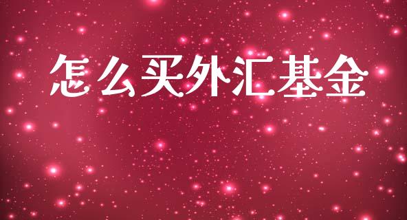 怎么买外汇基金_https://m.ycdhulan.com_财经要闻_第1张