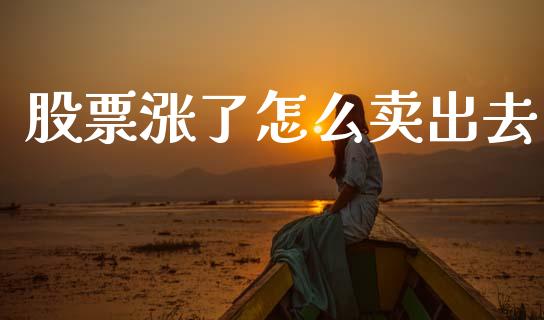 股票涨了怎么卖出去_https://m.ycdhulan.com_财经要闻_第1张