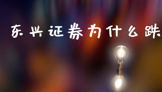 东兴证券为什么跌_https://m.ycdhulan.com_财经要闻_第1张