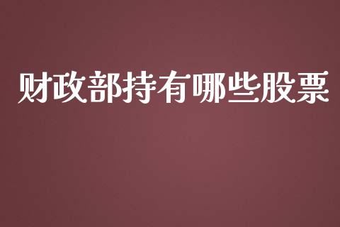 财政部持有哪些股票_https://m.ycdhulan.com_股市在线_第1张