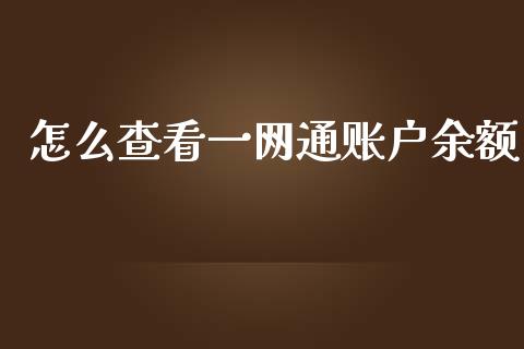 怎么查看一网通账户余额_https://m.ycdhulan.com_国际金融_第1张