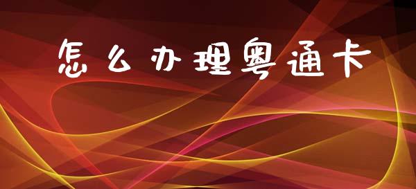 怎么办理粤通卡_https://m.ycdhulan.com_财经要闻_第1张