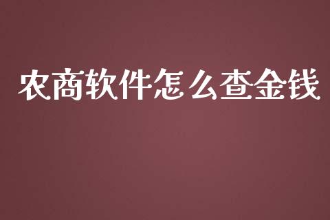 农商软件怎么查金钱_https://m.ycdhulan.com_国际金融_第1张
