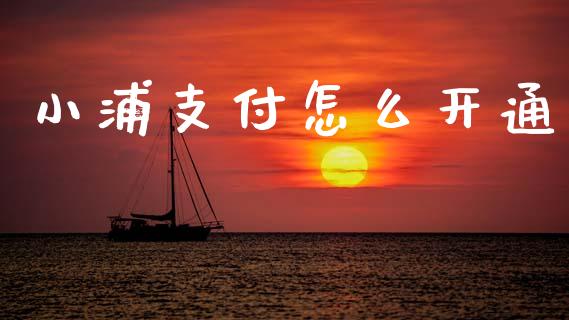 小浦支付怎么开通_https://m.ycdhulan.com_财经要闻_第1张
