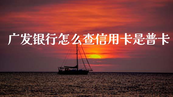 广发银行怎么查信用卡是普卡_https://m.ycdhulan.com_理财产品_第1张