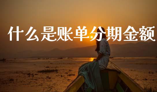 什么是账单分期金额_https://m.ycdhulan.com_国际金融_第1张