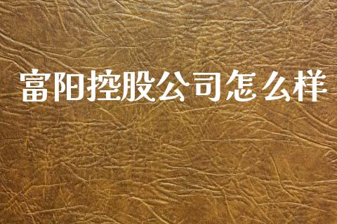富阳控股公司怎么样_https://m.ycdhulan.com_理财产品_第1张
