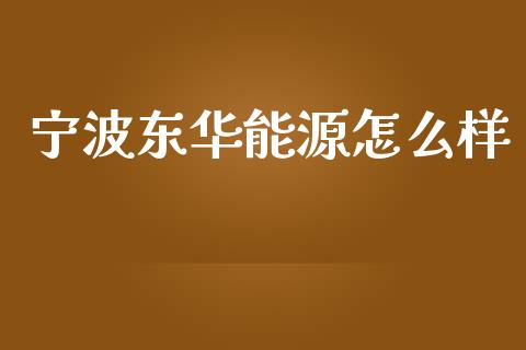 宁波东华能源怎么样_https://m.ycdhulan.com_国际金融_第1张