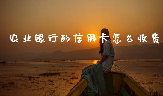 农业银行的信用卡怎么收费_https://m.ycdhulan.com_理财产品_第1张