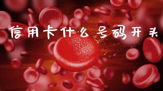 信用卡什么号码开头_https://m.ycdhulan.com_理财产品_第1张