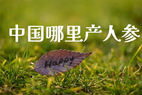 中国哪里产人参_https://m.ycdhulan.com_股市在线_第1张