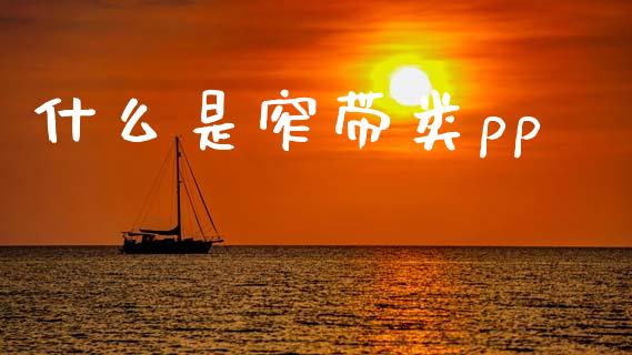 什么是窄带类pp_证券新闻_第1张_财经要闻_股市在线_理财产品_国际金融 什么是窄带类pp_https://m.ycdhulan.com_证券新闻_第1张