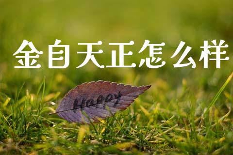 金自天正怎么样_https://m.ycdhulan.com_股市在线_第1张
