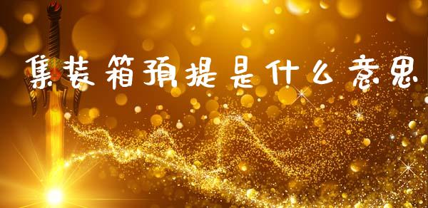 集装箱预提是什么意思_https://m.ycdhulan.com_股市在线_第1张