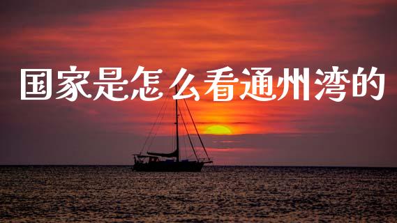 国家是怎么看通州湾的_https://m.ycdhulan.com_财经要闻_第1张