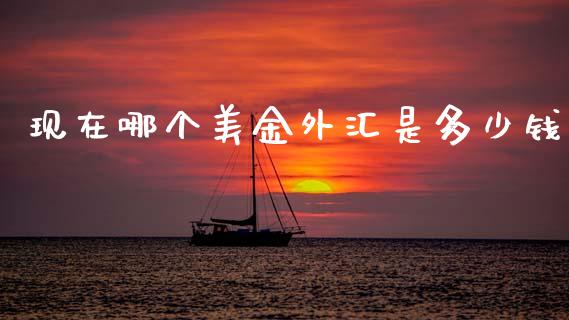 现在哪个美金外汇是多少钱_https://m.ycdhulan.com_期货交易_第1张