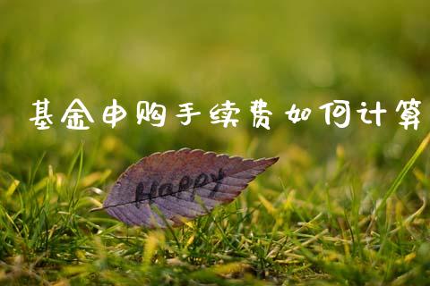 基金申购手续费如何计算_https://m.ycdhulan.com_期货交易_第1张