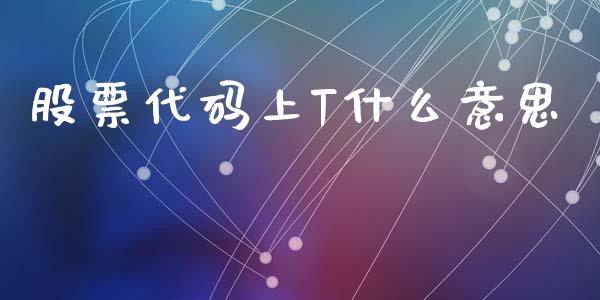 股票代码上T什么意思_https://m.ycdhulan.com_证券新闻_第1张