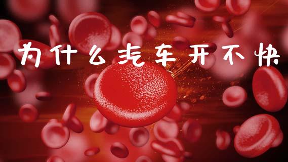 为什么汽车开不快_https://m.ycdhulan.com_股市在线_第1张