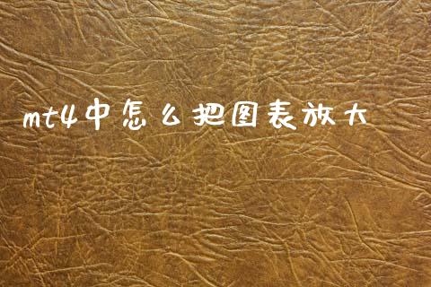 mt4中怎么把图表放大_https://m.ycdhulan.com_国际金融_第1张