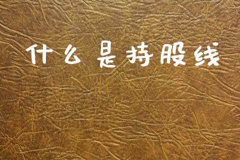 什么是持股线_https://m.ycdhulan.com_财经要闻_第1张