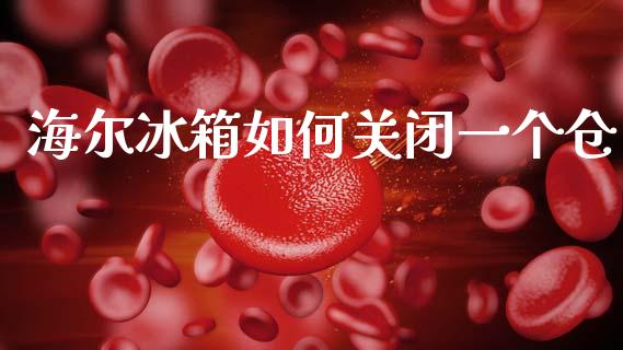 海尔冰箱如何关闭一个仓_https://m.ycdhulan.com_股市在线_第1张