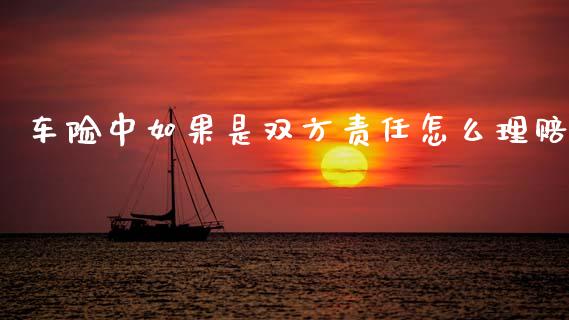 车险中如果是双方责任怎么理赔_https://m.ycdhulan.com_理财产品_第1张