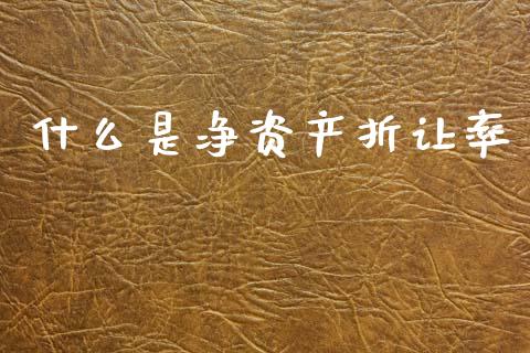 什么是净资产折让率_https://m.ycdhulan.com_财经要闻_第1张
