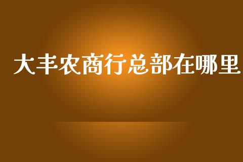 大丰农商行总部在哪里_https://m.ycdhulan.com_股市在线_第1张