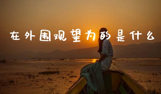 在外围观望为的是什么_https://m.ycdhulan.com_理财产品_第1张