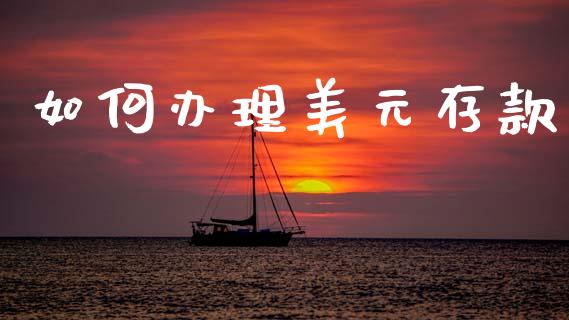 如何办理美元存款_https://m.ycdhulan.com_国际金融_第1张