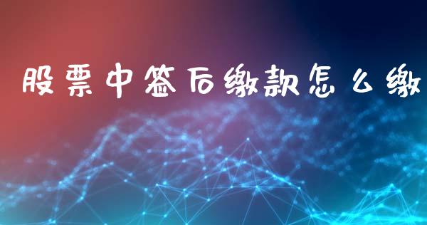 股票中签后缴款怎么缴_https://m.ycdhulan.com_财经要闻_第1张