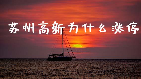 苏州高新为什么涨停_https://m.ycdhulan.com_财经要闻_第1张