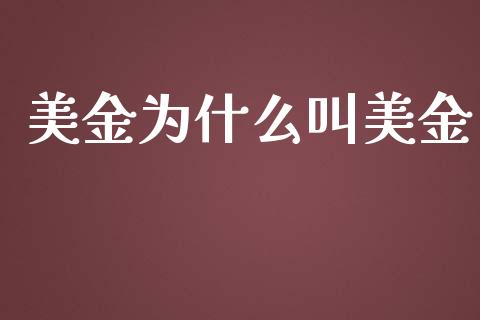 美金为什么叫美金_https://m.ycdhulan.com_股市在线_第1张