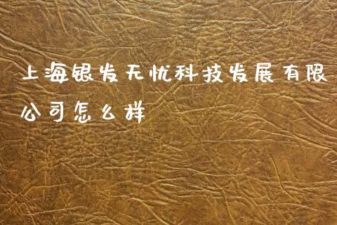 上海银发无忧科技发展有限公司怎么样_https://m.ycdhulan.com_证券新闻_第1张