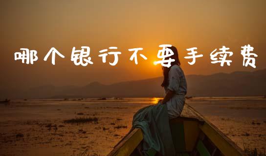哪个银行不要手续费_https://m.ycdhulan.com_证券新闻_第1张