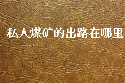 私人煤矿的出路在哪里_https://m.ycdhulan.com_国际金融_第1张