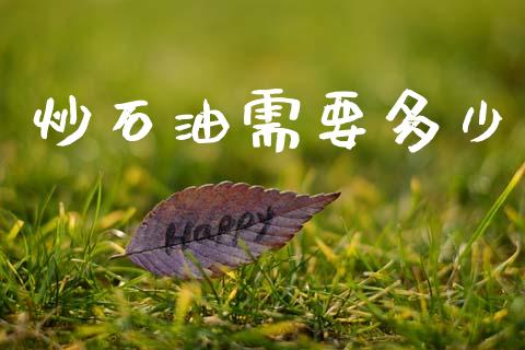 炒石油需要多少_https://m.ycdhulan.com_国际金融_第1张