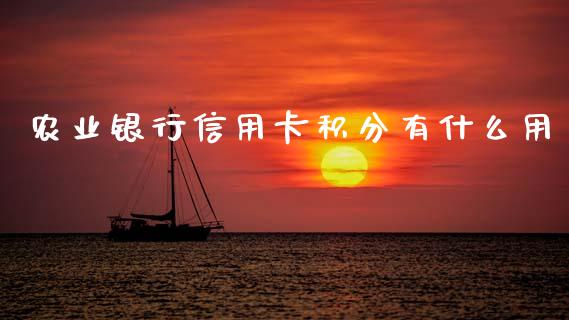 农业银行信用卡积分有什么用_https://m.ycdhulan.com_期货交易_第1张
