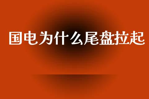 国电为什么尾盘拉起_https://m.ycdhulan.com_国际金融_第1张