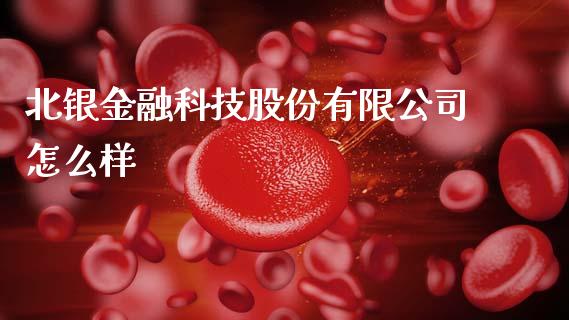 北银金融科技股份有限公司怎么样_https://m.ycdhulan.com_理财产品_第1张