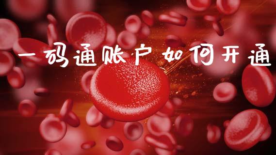 一码通账户如何开通_https://m.ycdhulan.com_国际金融_第1张