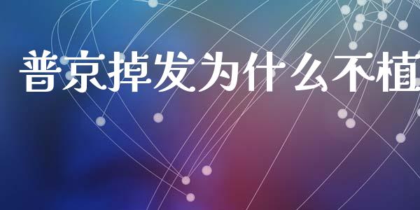 普京掉发为什么不植_https://m.ycdhulan.com_证券新闻_第1张